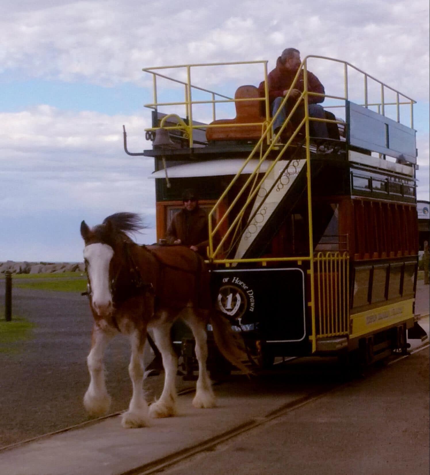 A horse-drawn carriage with a person on top, a horse with a white blaze, and a sign that reads "Horse Drawn."