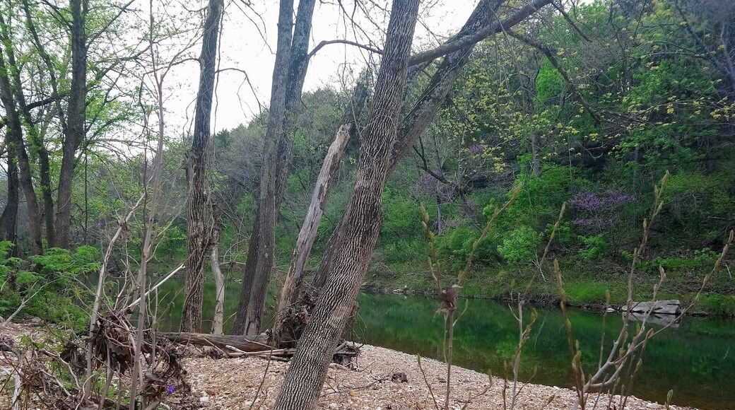 This is a photo from a neighbors farm. Basically it is a private river as no one goes there.