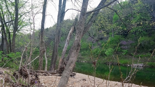 This is a photo from a neighbors farm. Basically it is a private river as no one goes there.