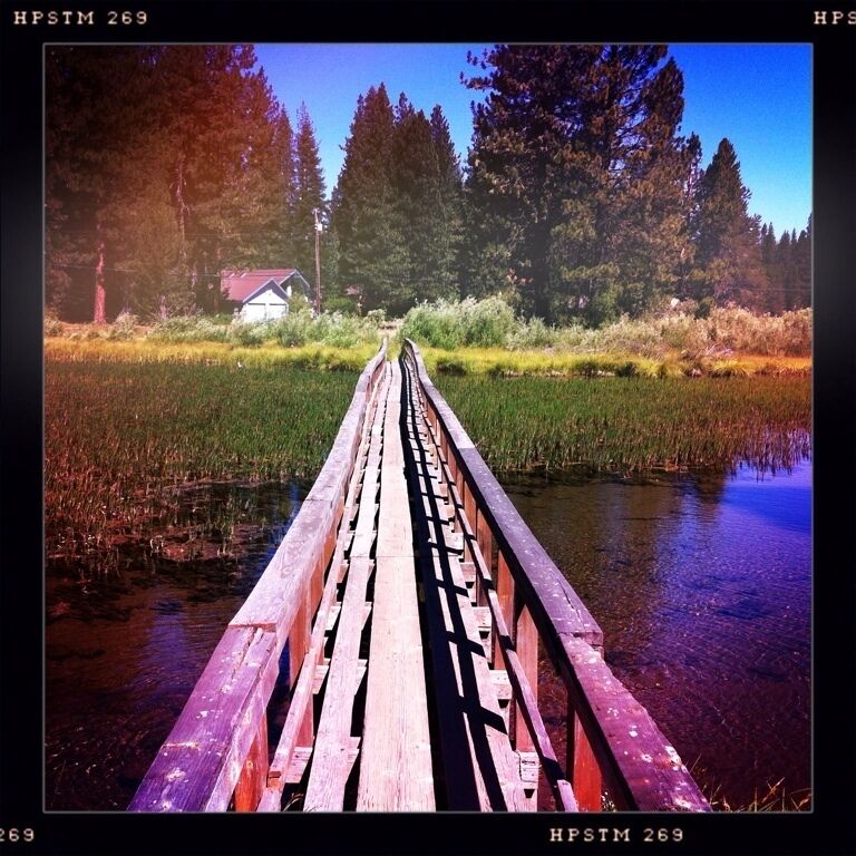 Bridge across the pond in Clear Creek, CA. 

#BestOf5

#Perspectives