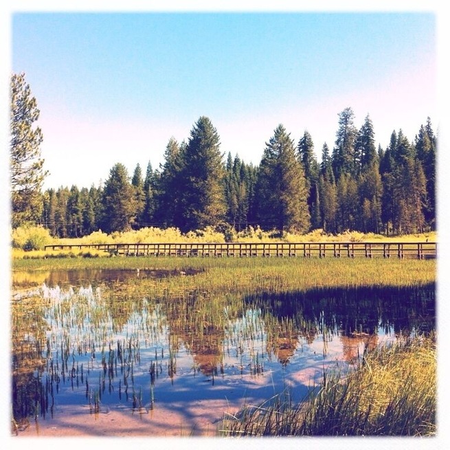 Pond in Clear Creek Park, Clear Creek, CA.
