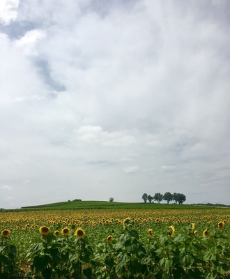 July 2016