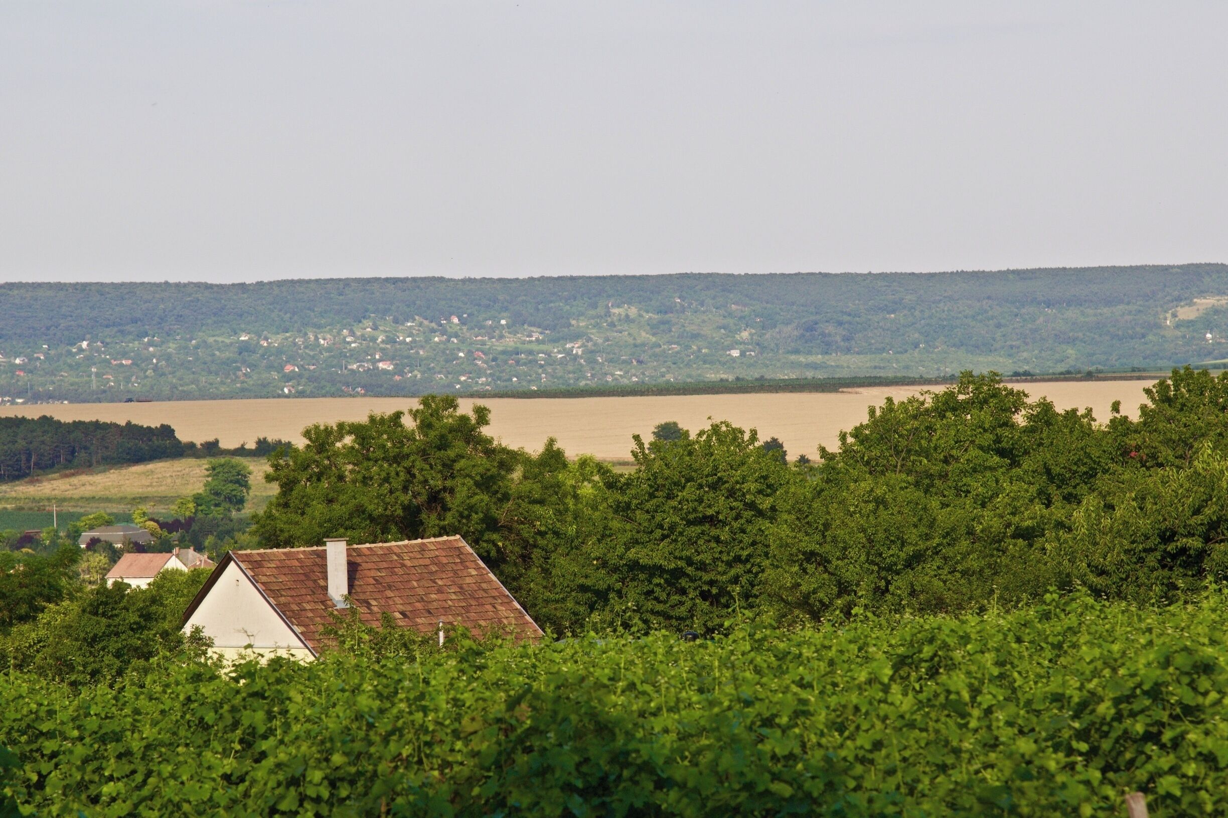 Etyek is a beautiful region just outside Budapest. There are several wine vineyards that offer wine tasting and Hungarian dinner. I booked a tour through City & Wine, but if you have a car, it is an easy drive from Budapest. 