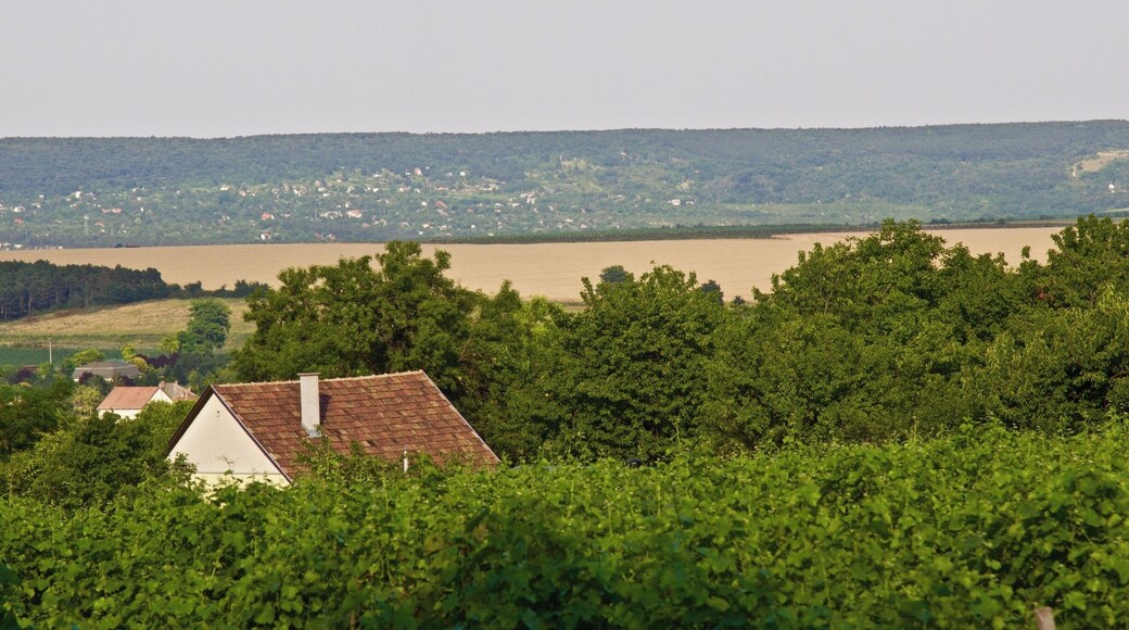 Etyek is a beautiful region just outside Budapest. There are several wine vineyards that offer wine tasting and Hungarian dinner. I booked a tour through City & Wine, but if you have a car, it is an easy drive from Budapest.