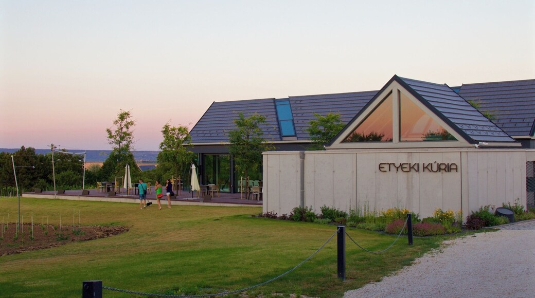 Etyek is a beautiful region just outside Budapest. There are several wine vineyards that offer wine tasting and Hungarian dinner. I booked a tour through City & Wine, but if you have a car, it is an easy drive from Budapest.
This is one of the more modern vineyards - Etyeki Kuria.