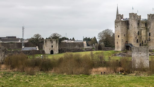 Trim Castle (Caisleán Bhaile Atha Troim) County Meath Ireland