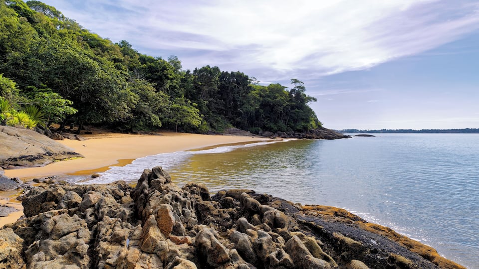 A rocky shoreline with a sandy beach and dense forest.