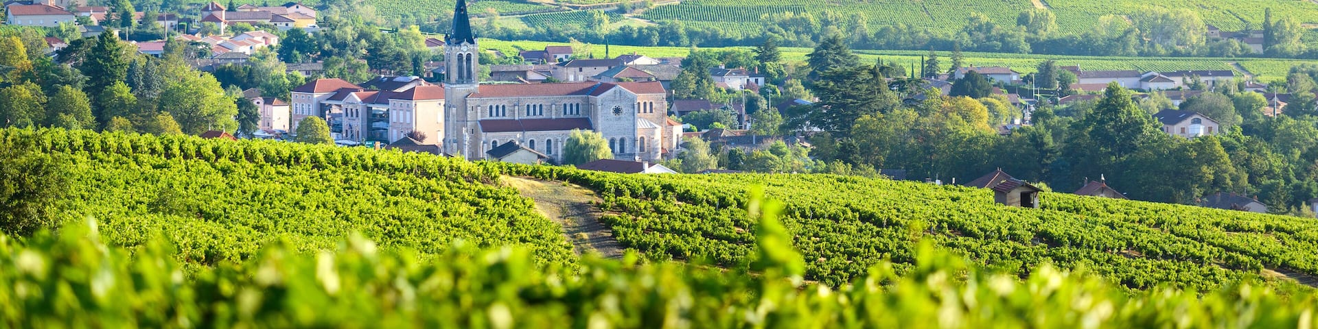 Paysage et vignobles du Beaujolais, Fleurie et Villié-Morgon, France