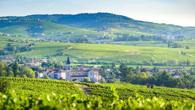 Paysage et vignobles du Beaujolais, Fleurie et Villié-Morgon, France