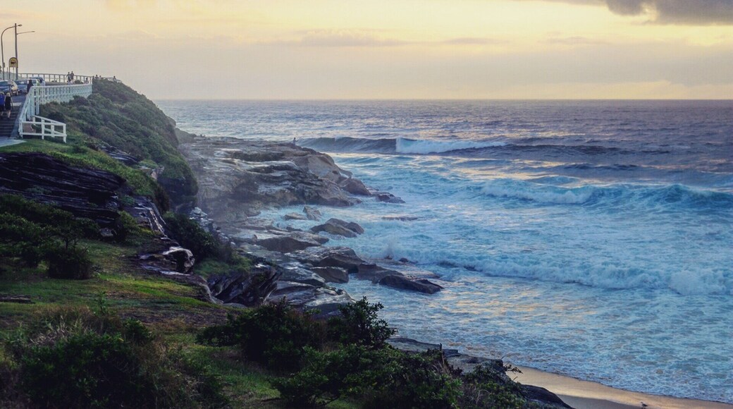 Sydney coastal walk Coogee to bondi beach. This was at sunrise.
#beachbound