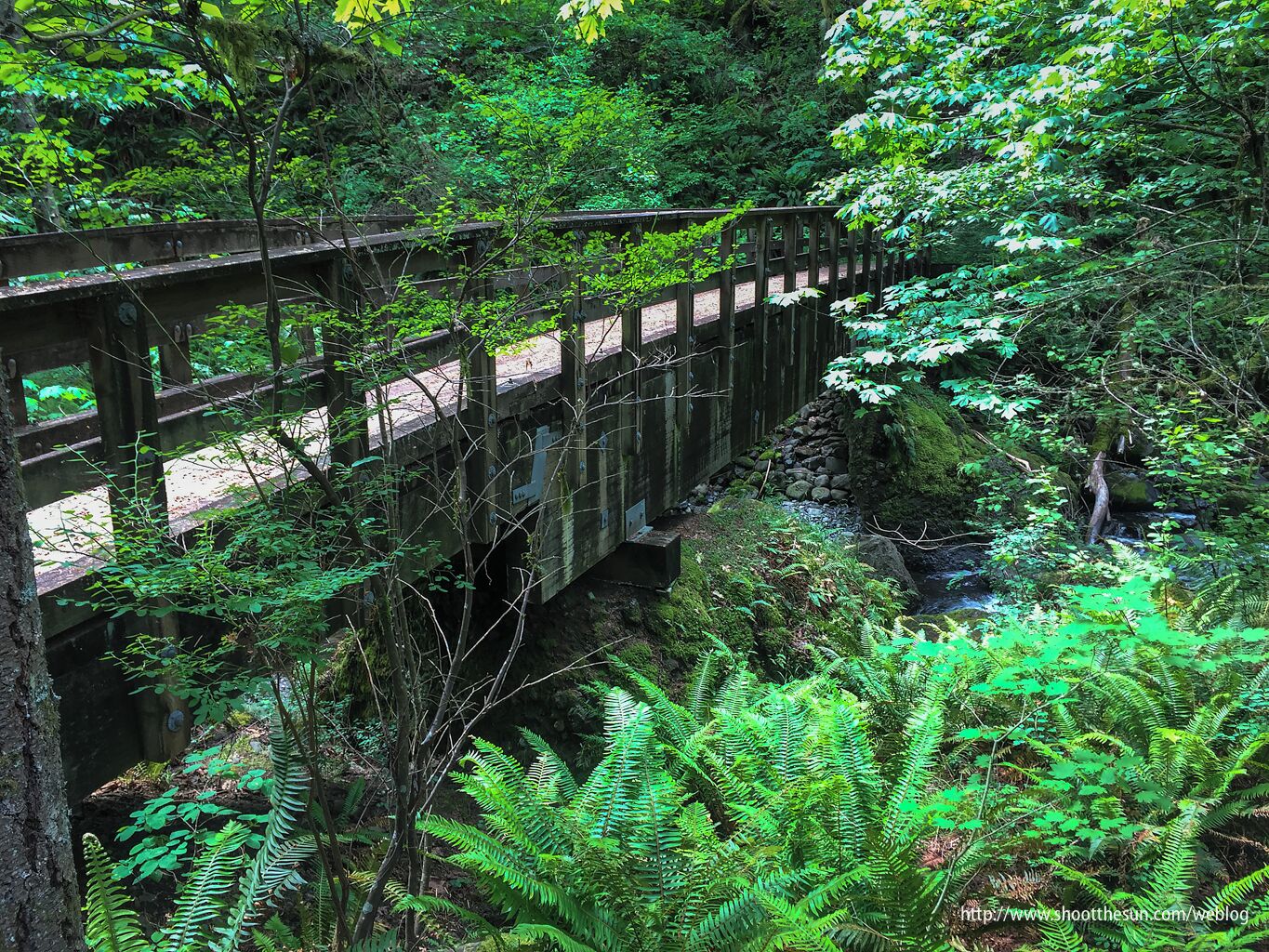 Had to old-school it today.  The forecast said "don't bring your camera."  So, of course, the weather was fine and I went past scene after scene aching to capture an image.  Fortunately, the iPhone is never too far out of reach.

So...I reached back and snapped off a few jpeg's and hoped for the best.