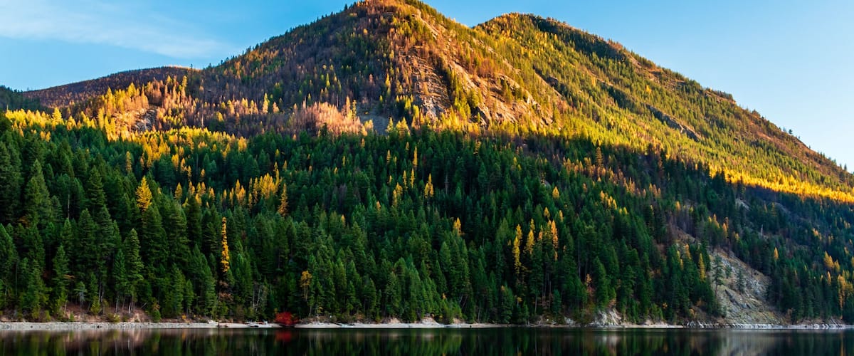 A calm lake reflecting a forested mountain, a rocky shoreline, and a clear blue sky.