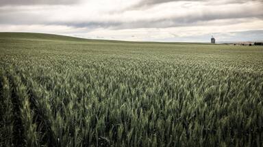 With rolling hills not unlike those in Tuscany, Walla Walla is a beautiful weekend escape from Seattle to a drier and more peaceful wine country.
#lifeatexpedia #winecountry #GreatOutdoors #Nature