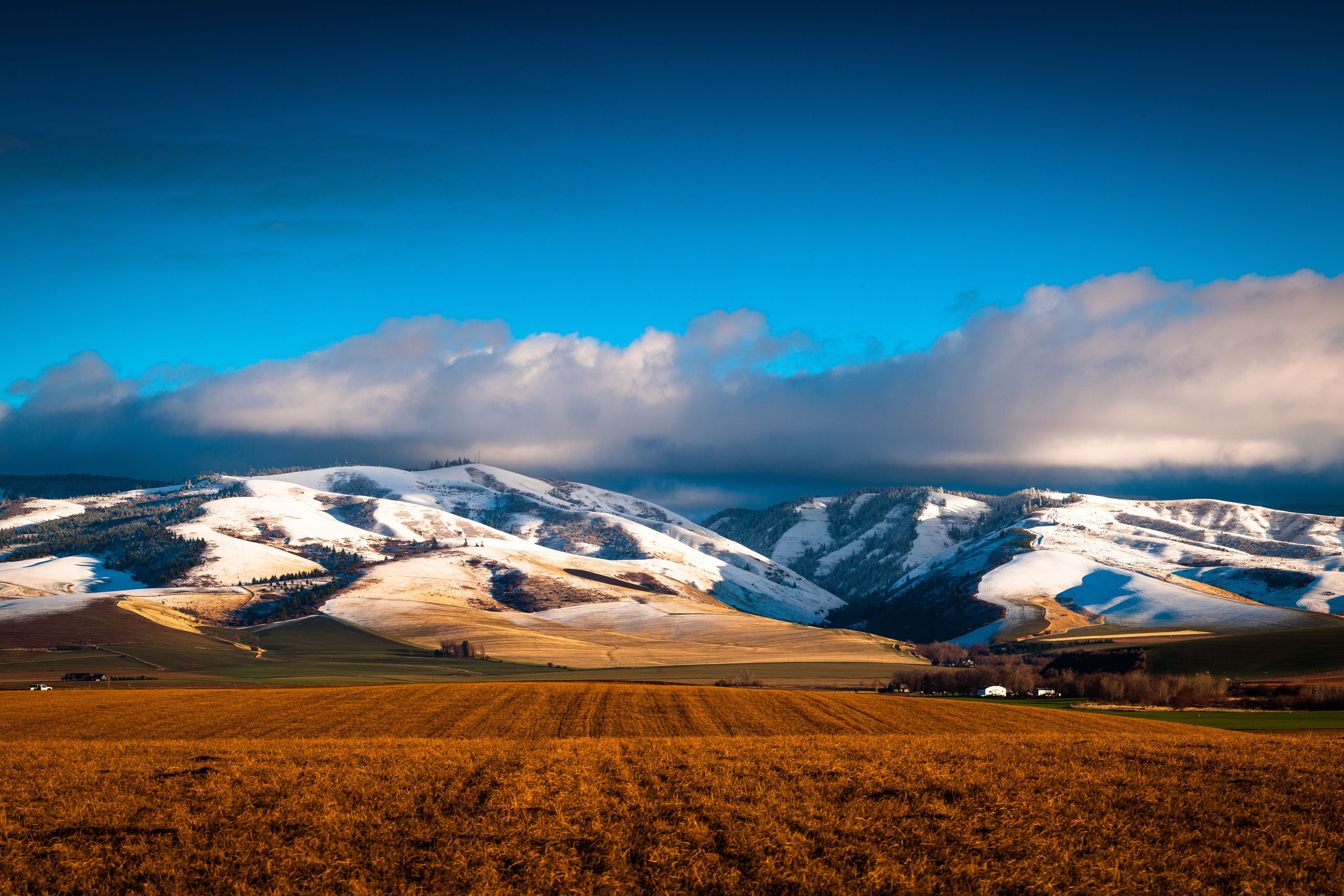 A mountainous landscape with snow-covered peaks and a field in the foreground.