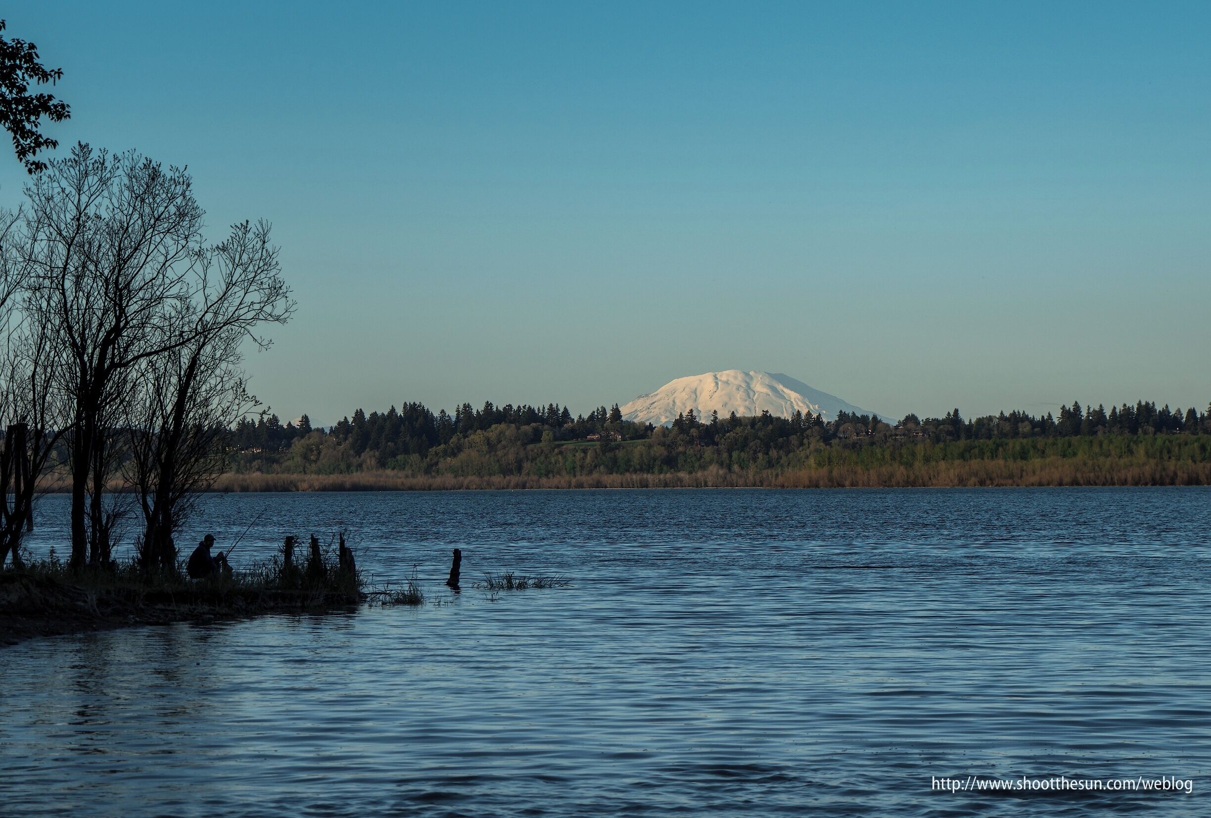 Fisherman trying his luck along the shores of Vancouver Lake with Mt. St Helens in the background.