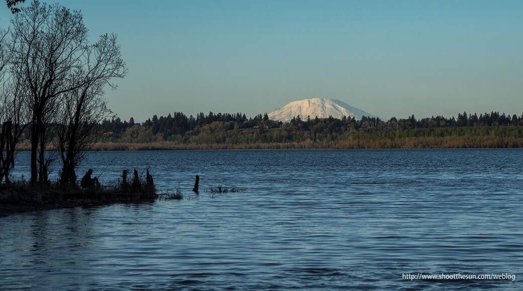 Fisherman trying his luck along the shores of Vancouver Lake with Mt. St Helens in the background.