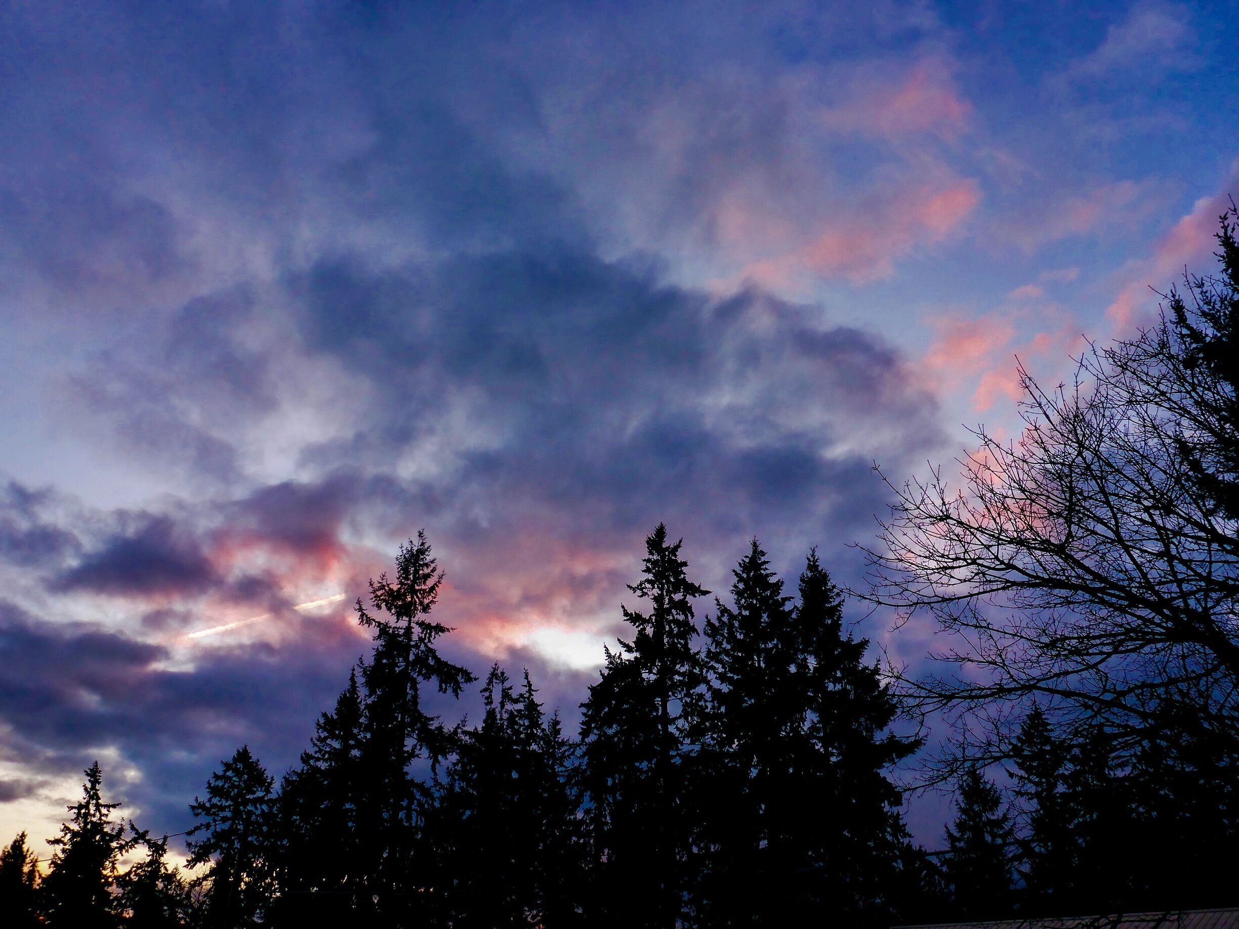 Here in the Northwest, we don't get to see blue sky very often in the winter time.  But when we do, we tend to make it count.