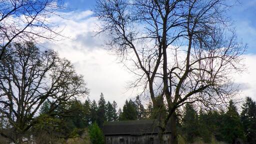 The insane airport that has the runway directly on the #beach in St. Barths! #welovetoexplore #travel