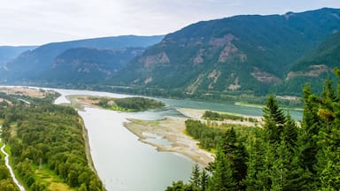 A river winding through a valley with dense forests and mountains in the background.