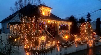 Those of us who live in a certain neighborhood of the Lincoln district know that for one month every year we won't have to worry about turning on our porch lights. If the street lamps should fail, well, that's not really of any concern. Say the moon itself were to pop out of the sky and go flying into space. No big deal. Because for a glorious 30 days every winter, we're able to bask in the glow of a house lit bright enough to make artificial sunshine. A sight so startling, it causes commuters to back up traffic as they sit in their cars and gape.
It wasn't always that way. A few years back, the charming old couple who lives in the place started to put out a few lights to decorate their home. The next year they added a few more, and the year after that -- again -- some more. At some point, however, they seem to have developed a kind of high tolerance for luminescence. And when that happened, the floodgates were open. What you see in these photos is the early December version of what, by Christmas day, will be a kind of multi-colored solar flare emanating from the front yard of their home.
It can really be a beautiful thing to behold, as anyone who sees it for the first time can tell you. And those of us who live here have accepted with pride this red and gold meteor which appears in our midst during every gloomy Northwest December.
Can you blame us? We may be the only block on earth entirely visible from space.
#localgem