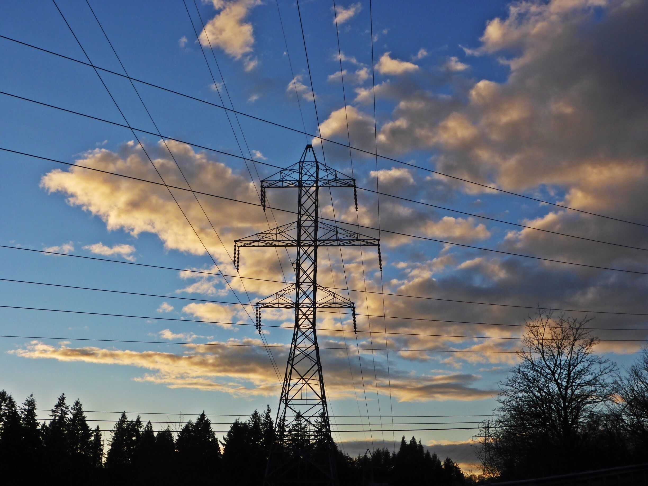 Those of us who trek the wilderness in the Great Northwest have some very peculiar people to thank.  A little more than a century ago, as the burgeoning industrial revolution began to trammel its way across the country, the owners of railroads, municipal water holdings, the telegraph, and those new-fangled monstrosities known as electric power companies, all found themselves in a pickle.

To ply their trade they needed space; more to the point, they needed specific routes through the space that other people had, or could have, just by parking their wagons and calling it home. More critically, they didn't want to have to pay for it, at least not at the going rate.

They were able to convince the local, county, state and even the federal government (none of which needed much convincing), that it would be in the nation's best interest to grant a set of low-to-no cost easements ceding to these entities the rights-of-way through any obstacle which might come into their path.

And while this over-simplification of events would not earn even a solid "D" in an intro to contract law course, it brings to light an undeniable reality: a lot of the wilderness we get to enjoy in this part of the country is there because someone took it and never gave it back.

This became abundantly clear to me this Summer and Fall when I hiked no fewer than five major wilderness areas whose sole purpose, were they not wilderness, would be to provide a conduit for some sort of consumer service.  In Washington: Dog Mountain, Hamilton Mountain, Table Mountain and the complex of trails at Coyote  Wall are all criss-crossed with power lines.  They don't overwhelm the landscape, but there they are.  In Oregon, Mount Defiance is essentially the state's tallest communication tower; Forest Park combines water, electricity, and phone routes that are hidden so well in places, you'd never know they were there.

The Burnt Bridge Creek Greenway, here in Vancouver, would simply not exist today, save for its designation as a right-of-way for Bonneville Power and the local railway. Homes were built right up to its rim, and a residential (essentially rural road) was grandfathered in before it was declared a wetland refuge, but the area itself remains blissfully exempt from development.  It is home to at least a dozen species of waterfowl, herons, eagles, peregrine falcons, beavers, otters, coyote, deer, and all the usual characters thriving in an urban wildlife setting.  As far as the animals are concerned, the place is more or less the way they found it.

Did all this open territory come down to us by accident? Was it the by-product of both greed and a none-too-coincidental "cooperative understanding" between the private sector and those charged with protecting the public's interests?  Well, kinda.  

But ironically enough, without that century-old landgrab, we might no longer be able to enjoy some of the Nothwest's most beautiful places. It will make me shake my head and smile every time I think about it.  But I, for one, am grateful.



