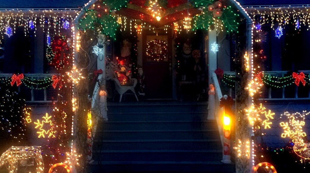 Those of us who live in a certain neighborhood of the Lincoln district know that for one month every year we won't have to worry about turning on our porch lights. If the street lamps should fail, well, that's not really of any concern. Say the moon itself were to pop out of the sky and go flying into space. No big deal. Because for a glorious 30 days every winter, we're able to bask in the glow of a house lit bright enough to make artificial sunshine. A sight so startling, it causes commuters to back up traffic as they sit in their cars and gape.
It wasn't always that way. A few years back, the charming old couple who lives in the place started to put out a few lights to decorate their home. The next year they added a few more, and the year after that -- again -- some more. At some point, however, they seem to have developed a kind of high tolerance for luminescence. And when that happened, the floodgates were open. What you see in these photos is the early December version of what, by Christmas day, will be a kind of multi-colored solar flare emanating from the front yard of their home.
It can really be a beautiful thing to behold, as anyone who sees it for the first time can tell you. And those of us who live here have accepted with pride this red and gold meteor which appears in our midst during every gloomy Northwest December.
Can you blame us? We may be the only block on earth entirely visible from space.
#localgem