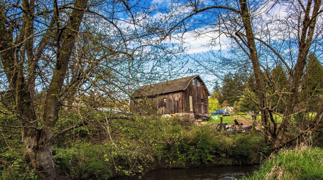 The creek runs through a greenway one and one-half miles long, flanking a checkerboard of agrarian, residential and utility company property.