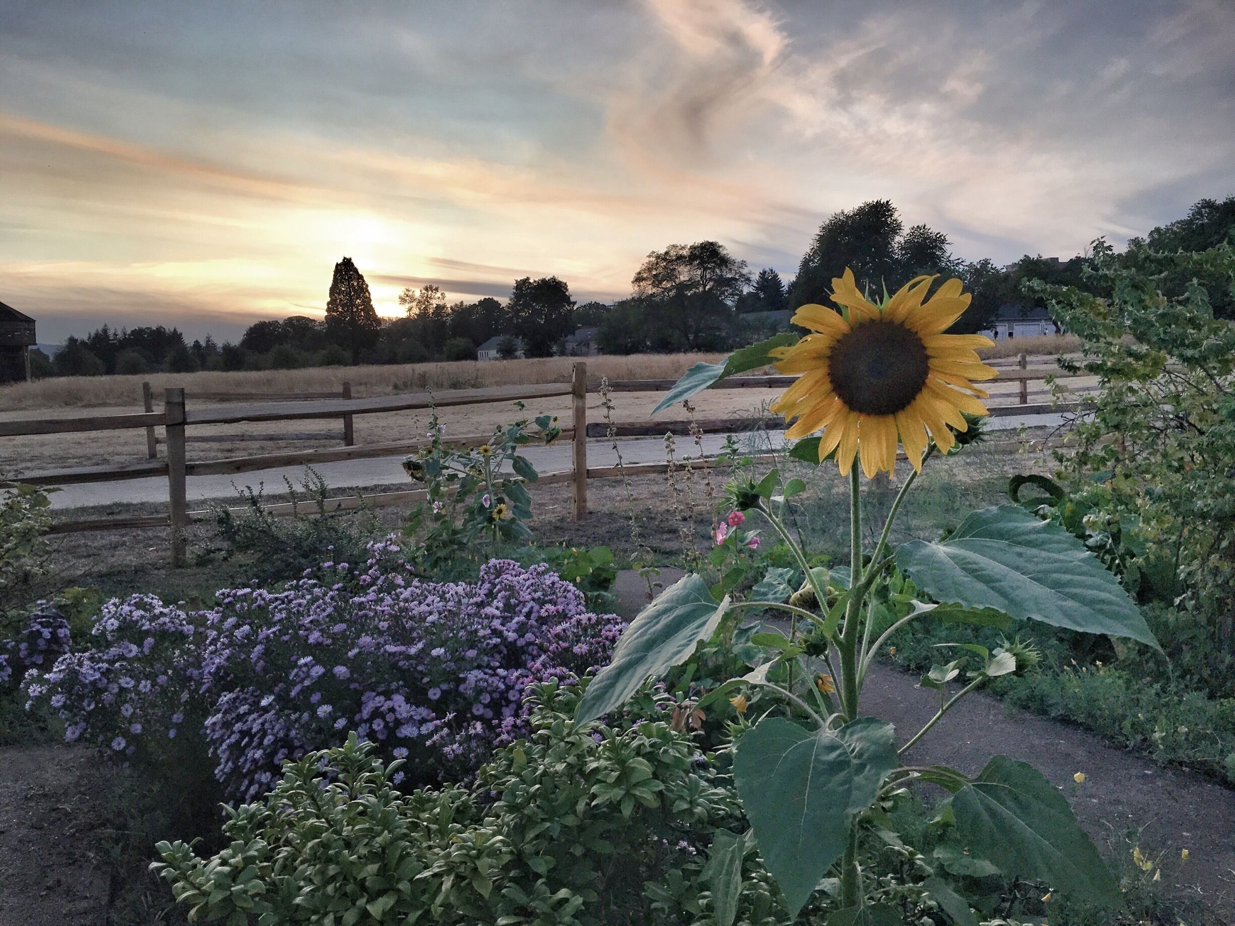 Beautiful views in the garden at Fort Vancouver National Historical Site. Quiet beauty and adventure. Great family activity. 