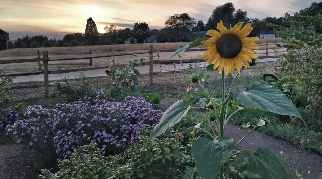 Beautiful views in the garden at Fort Vancouver National Historical Site. Quiet beauty and adventure. Great family activity.