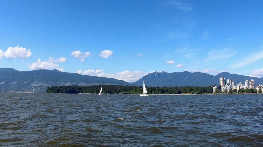i highly recommend taking a sail in the harbour! such a good way to see the city