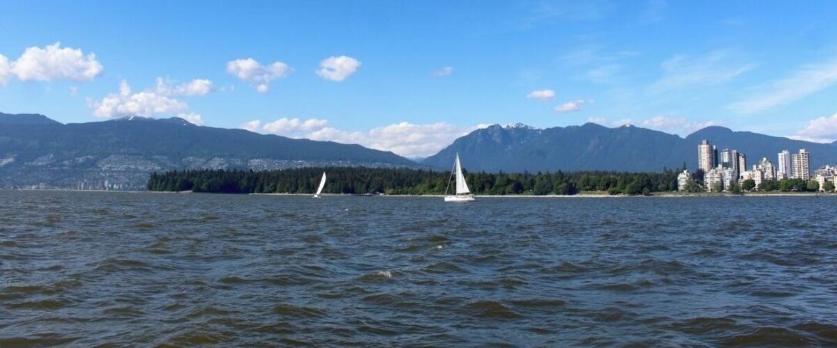i highly recommend taking a sail in the harbour! such a good way to see the city