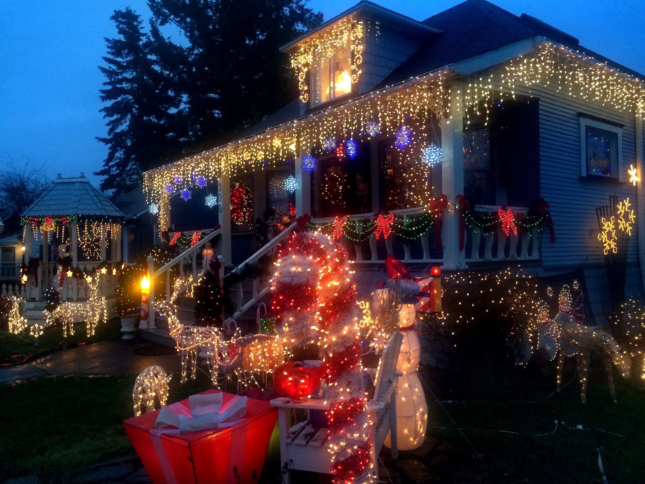 Those of us who live in a certain neighborhood of the Lincoln district know that for one month every year we won't have to worry about turning on our porch lights.  If the street lamps should fail, well, that's not really of any concern. Say the moon itself were to pop out of the sky and go flying into space.  No big deal.  Because for a glorious 30 days every winter, we're able to bask in the glow of a house lit bright enough to make artificial sunshine.  A sight so startling, it causes commuters to back up traffic as they sit in their cars and gape.

It wasn't always that way.  A few years back, the charming old couple who lives in the place started to put out a few lights to decorate their home.  The next year they added a few more, and the year after that -- again -- some more.  At some point, however, they seem to have developed a kind of high tolerance for luminescence.  And when that happened, the floodgates were open.  What you see in these photos is the early December version of what, by Christmas day, will be a kind of multi-colored solar flare emanating from the front yard of their home.  

It can really be a beautiful thing to behold, as anyone who sees it for the first time can tell you.  And those of us who live here have accepted with pride this red and gold meteor which appears in our midst during every gloomy Northwest December.

Can you blame us?  We may be the only block on earth entirely visible from space.

#localgem