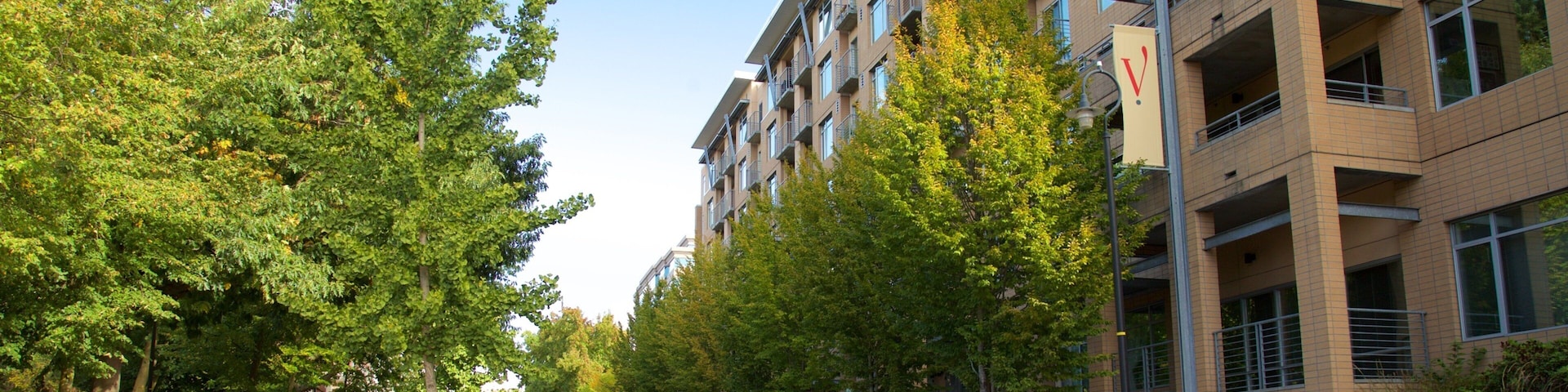 Vancouver which includes street scenes