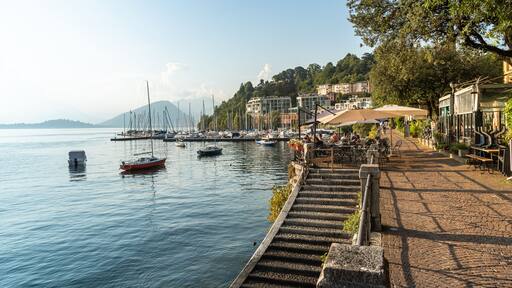 لافينو موبيللو