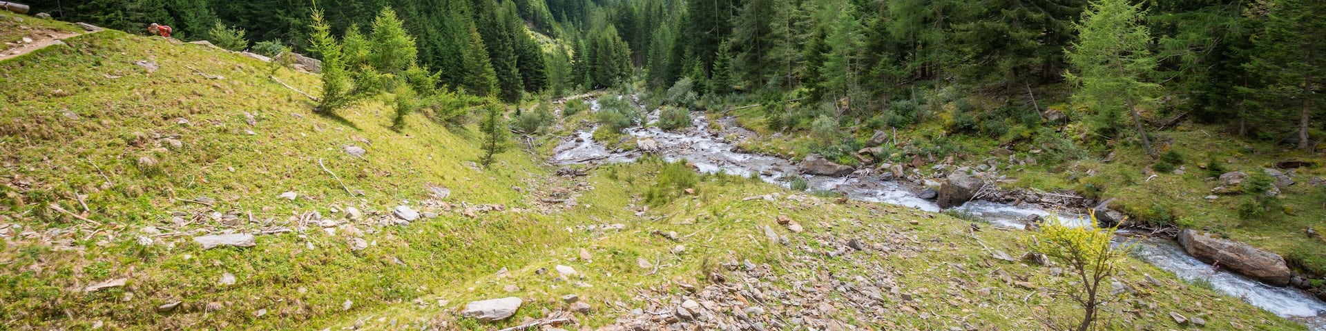 A mountain valley with a stream, dense forests, and rugged terrain.