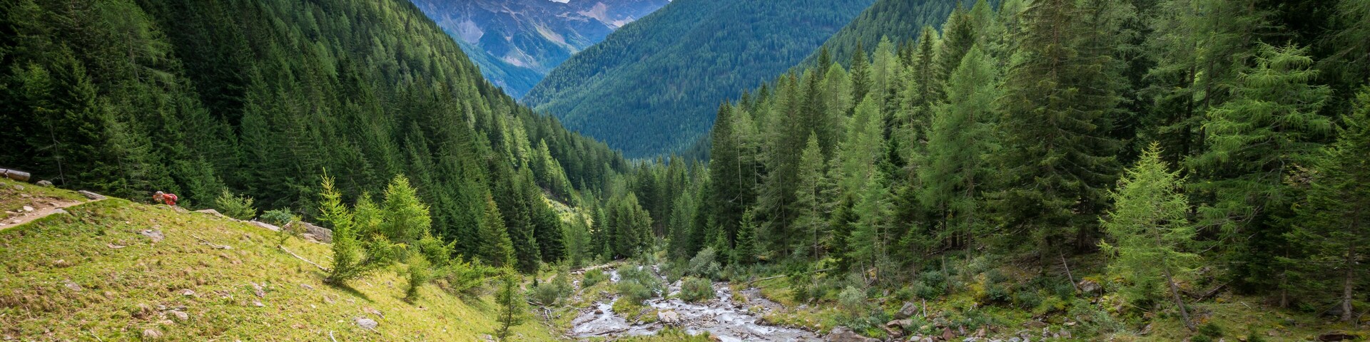 Un valle montañoso con un arroyo, bosques densos y terreno accidentado.
