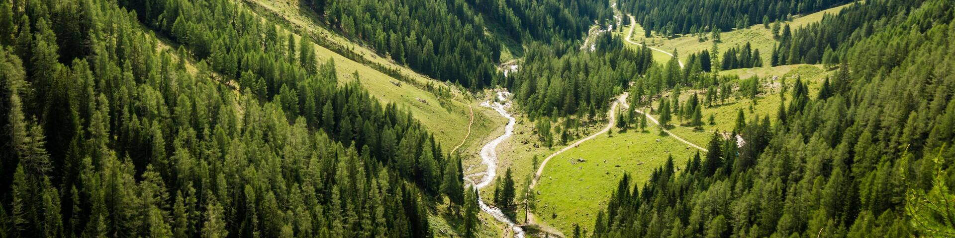 waterfall mountain landscape. Rabbi Valley, Trentino Alto Adige, Italy