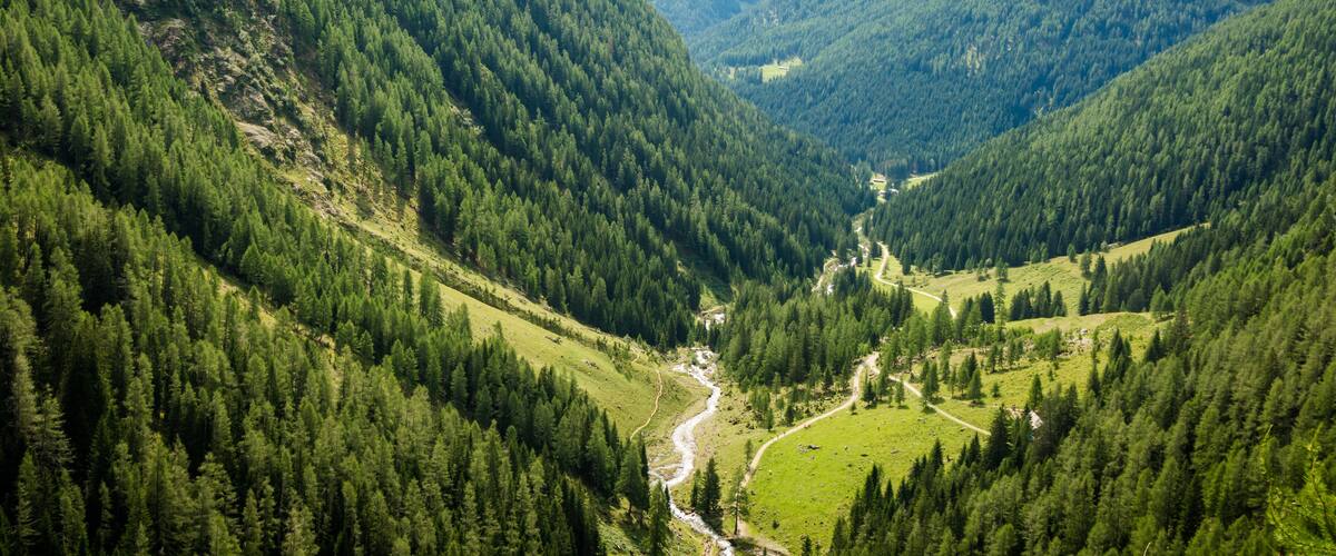 A valley with a river, surrounded by dense forests and hills.