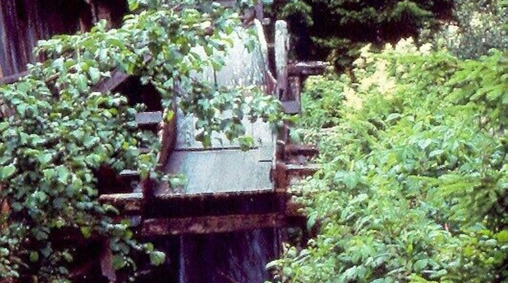 Bagni di Rabbi 1978a