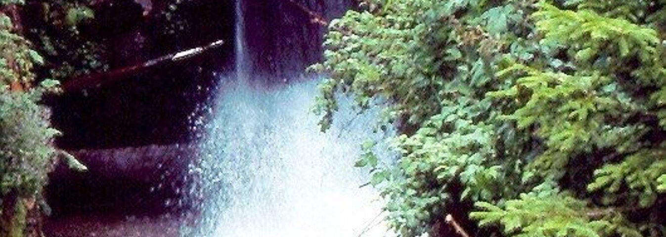 Bagni di Rabbi 1978a