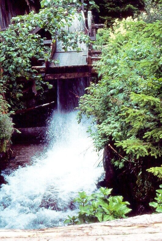 A waterfall cascading over a wooden structure surrounded by lush greenery.