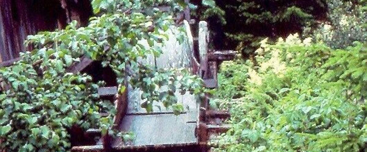 A waterfall cascading over a wooden structure surrounded by lush greenery.