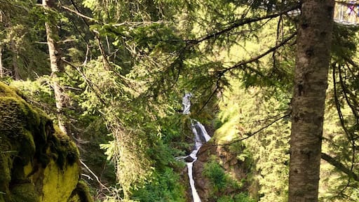 This waterfall is under a stunning tibetan bridge.
#waterfall #nature #trekking #trentino #mountains #italy