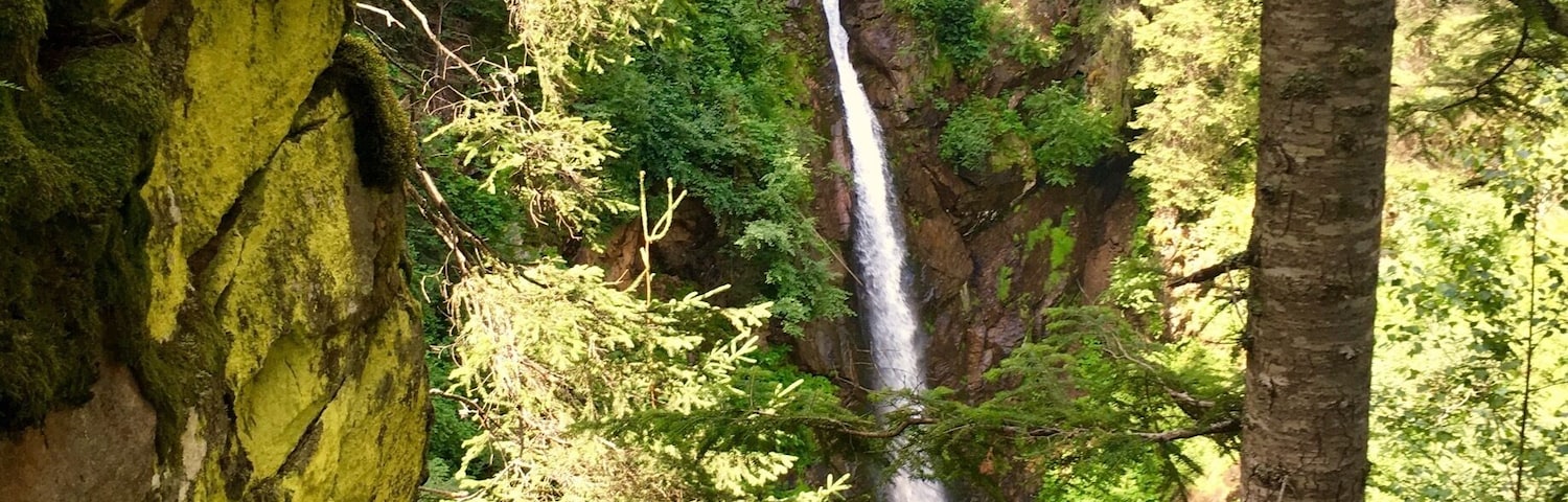 This waterfall is under a stunning tibetan bridge.
#waterfall #nature #trekking #trentino #mountains #italy