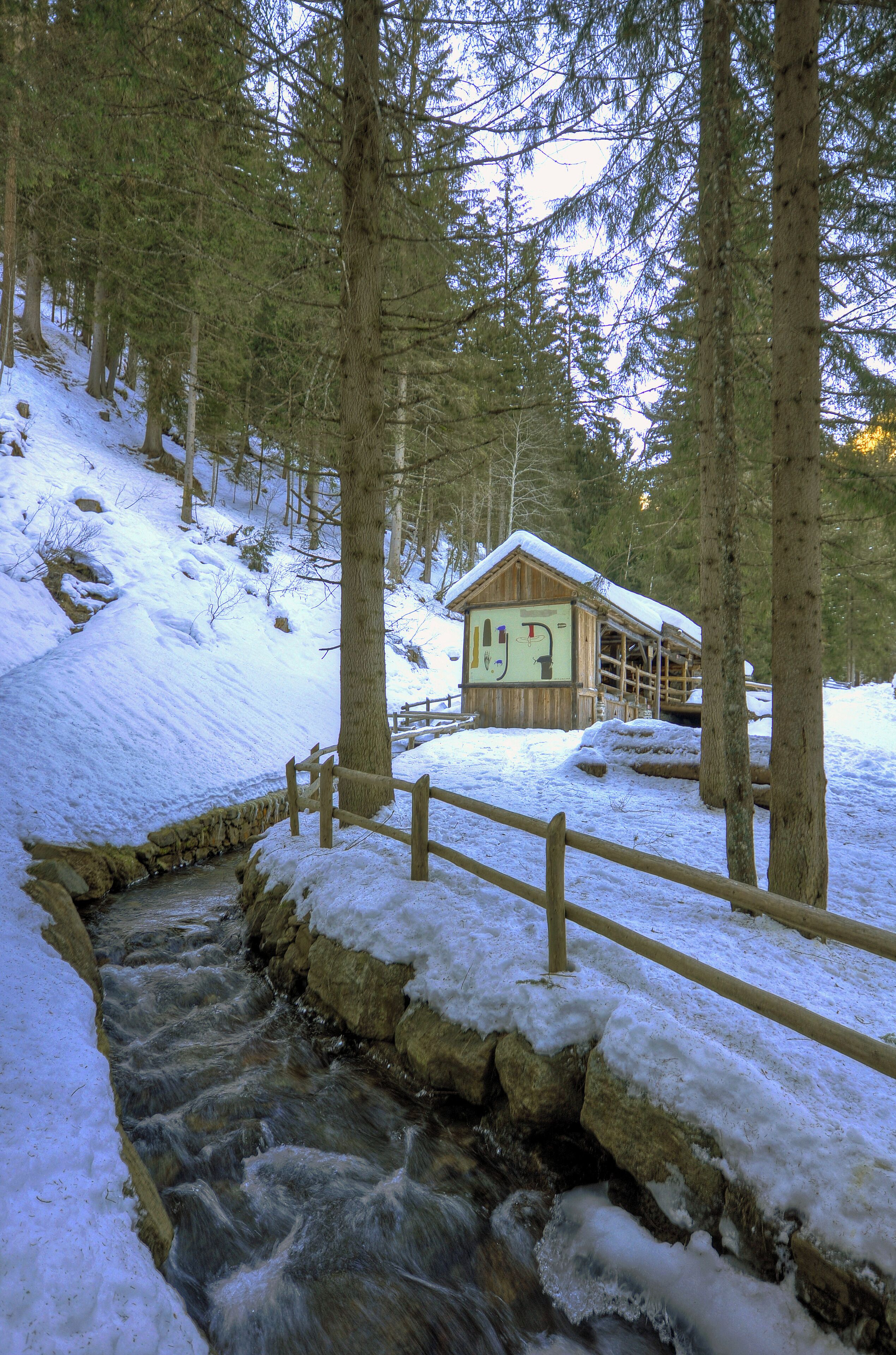 Sawmill - Somrabbi, Rabbi (TN) Italy - January 3, 2010