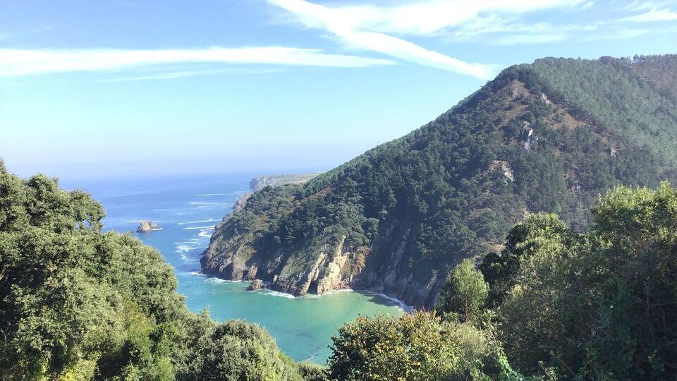 A coastal landscape with a steep cliff, dense green forest, and turquoise sea.