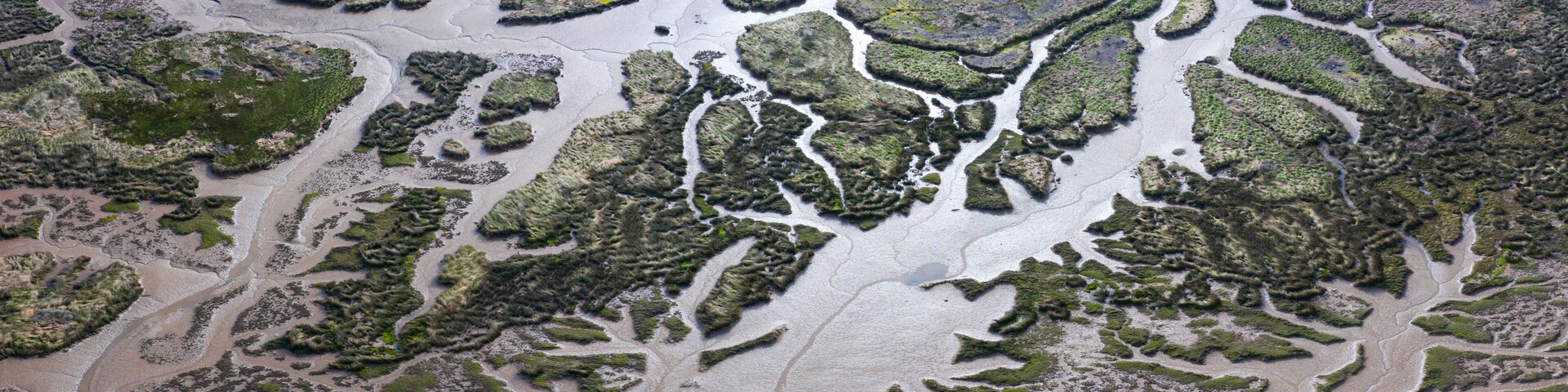 Un paisaje costero con intrincados charcos de marea y zonas de la costa afectada por las mareas.