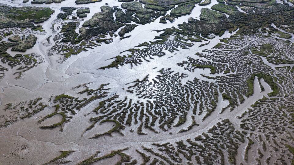 An aerial view of a coastal landscape with intricate patterns of sand dunes and tidal pools.