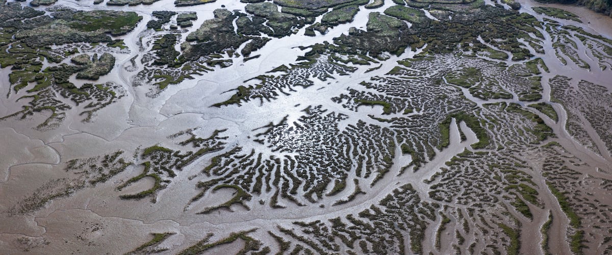 An aerial view of a coastal landscape with intricate patterns of sand dunes and tidal pools.