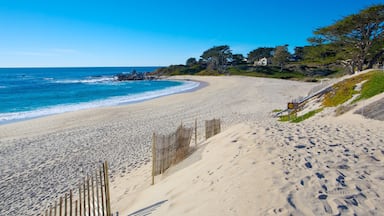Carmel Beach which includes general coastal views, landscape views and a sandy beach